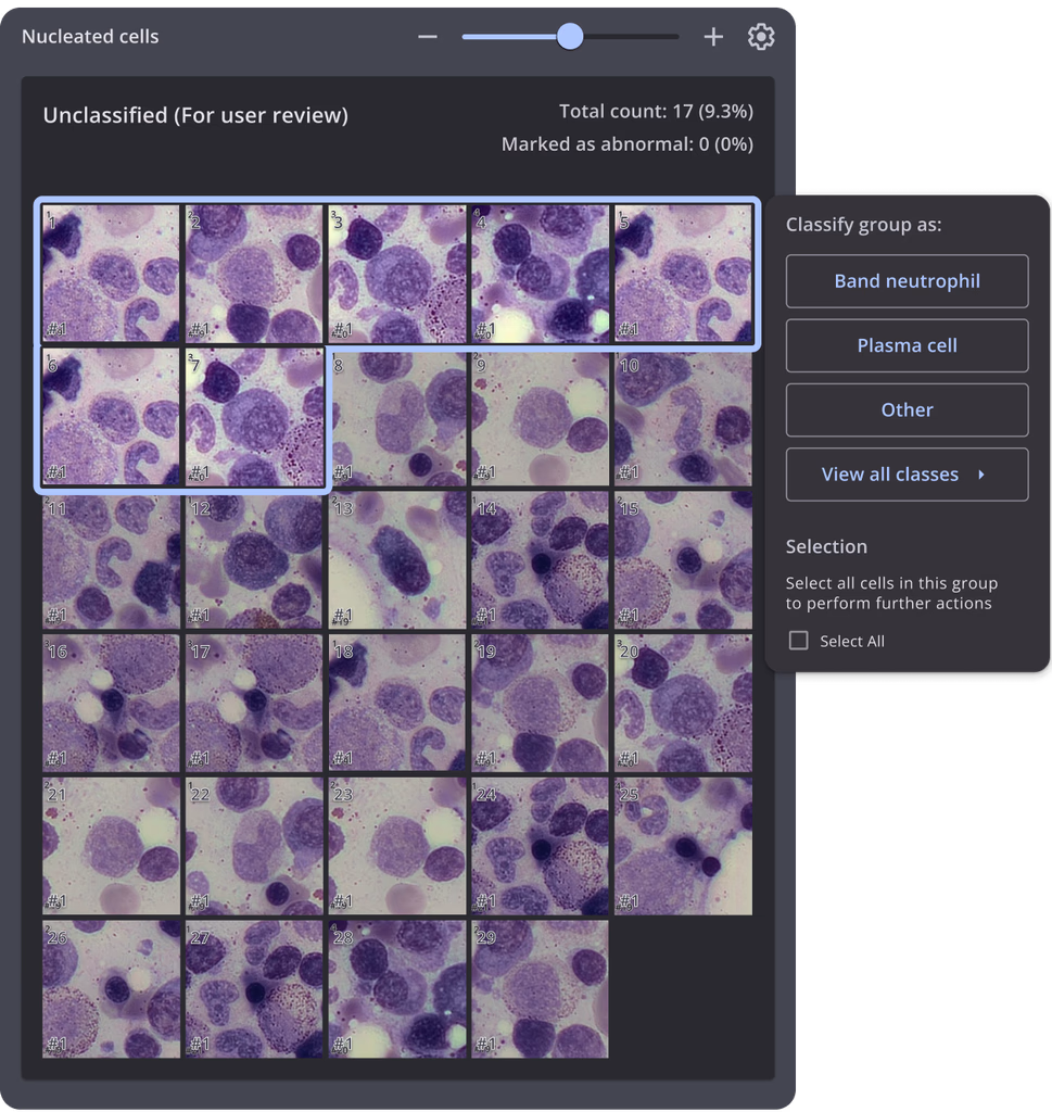 Continuous stream view